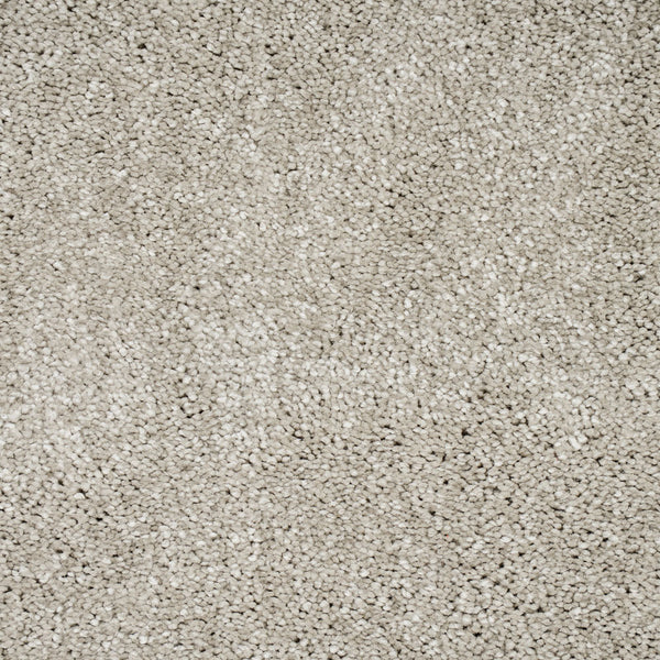 Egyptian Papyrus 94 Orion 50oz Invictus Carpet Buy Invictus Carpets