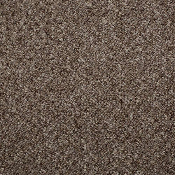 Oak Auckland Loop Feltback Carpet