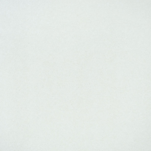 Ermine 03 Hermes iSense Carpet