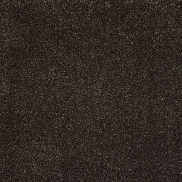 Everest Plus Actionback Carpet