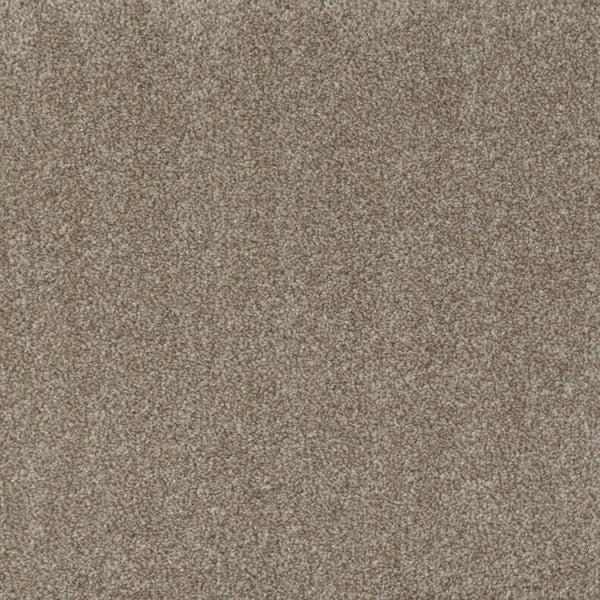 Light Beige 611