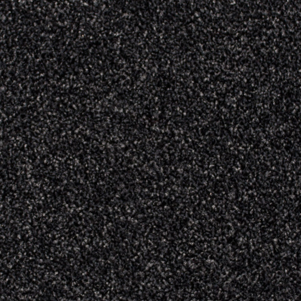Platinum 99 Everest Twist Carpet