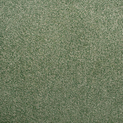 Evergreen Stainsafe Heritage Heathers Luxury Carpet