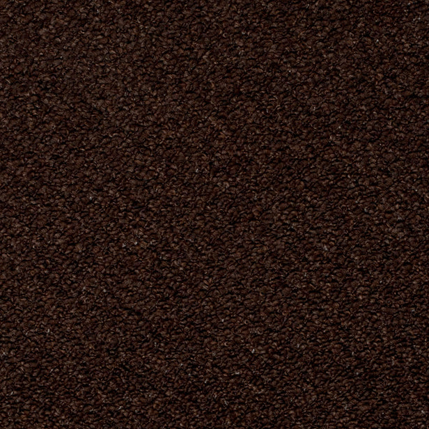 Chocolate Brown Royal Loop Carpet