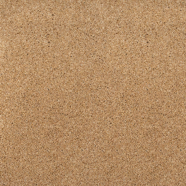 Fern 35 Pegasus 70oz Heathers Invictus Carpet