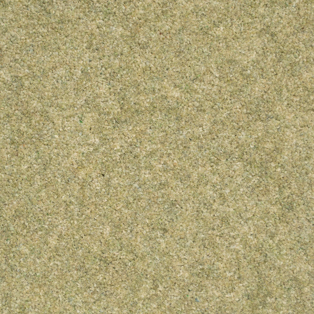 Pistachio Forest Hills Super Carpet Buy Forest Hills Super Carpet pistachio-forest-hills-super-carpet-buy-forest-hills-super-carpet