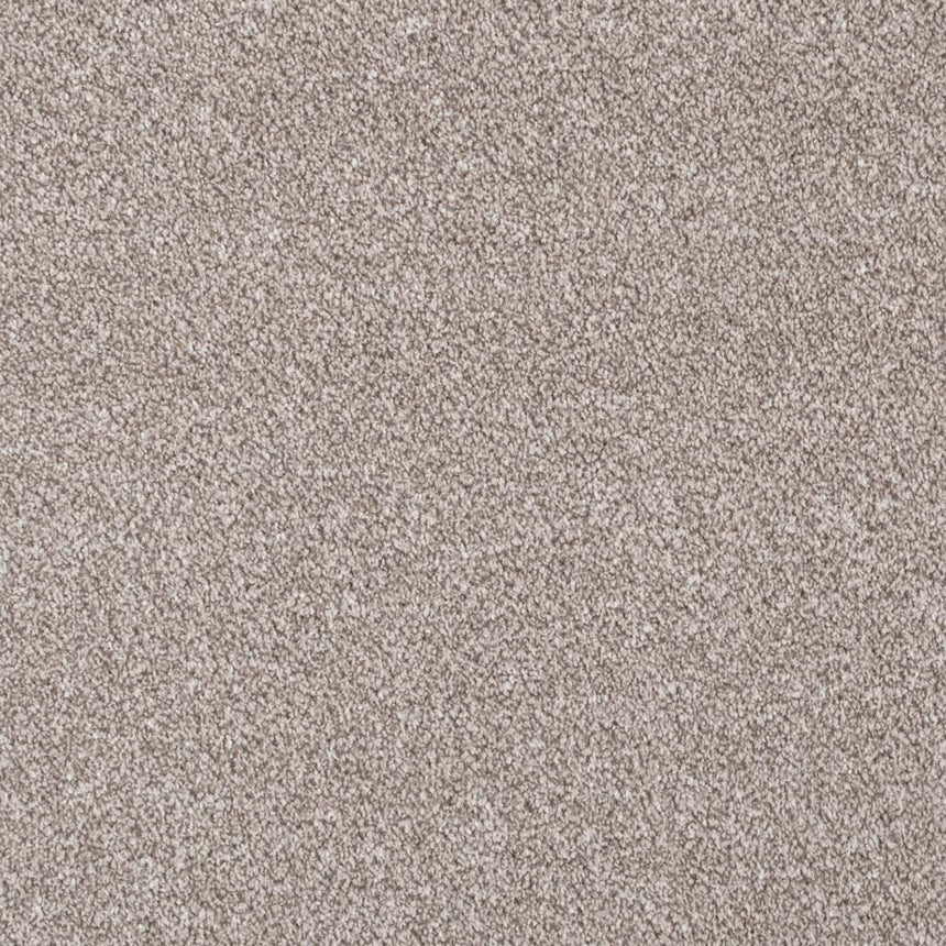 Forest Walk Apollo Plus Carpet | Buy Apollo Plus Carpets Online ...