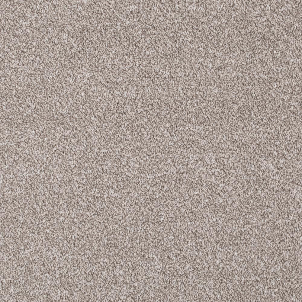 Forest Walk Apollo Plus Carpet | Buy Apollo Plus Carpets Online ...
