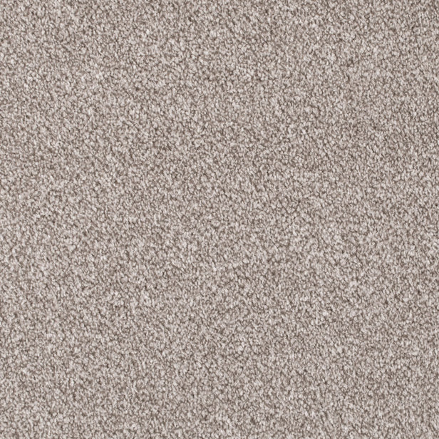 Forest Walk Apollo Plus Carpet - mid