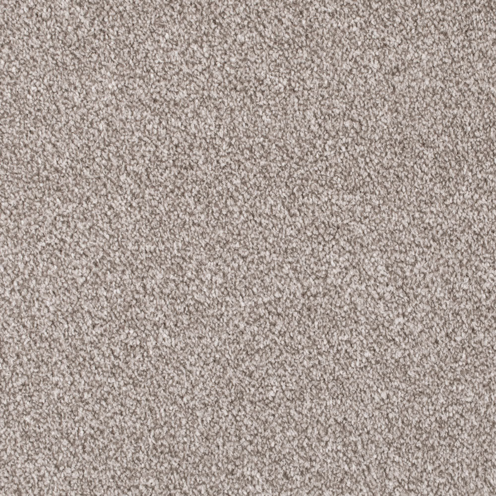 Forest Walk Apollo Plus Carpet | Buy Apollo Plus Carpets Online ...