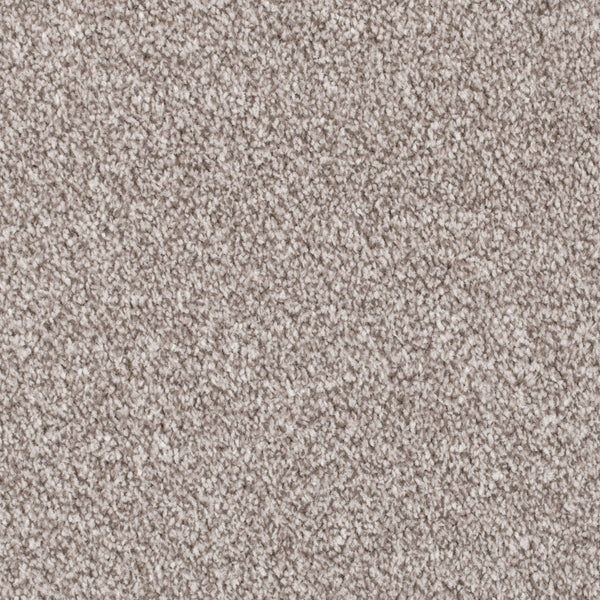 Forest Walk Apollo Plus Carpet | Buy Apollo Plus Carpets Online ...