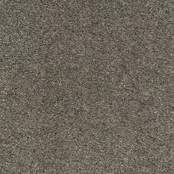 Gallant Grey 970 Sarabi Carpet