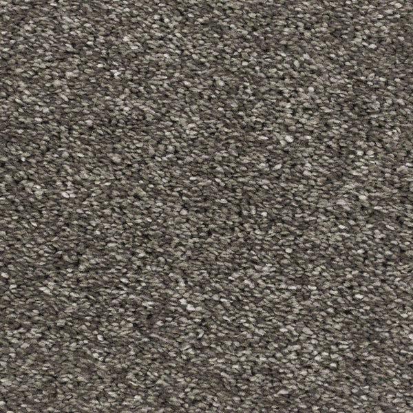 Gallant Grey 970 Sarabi Carpet