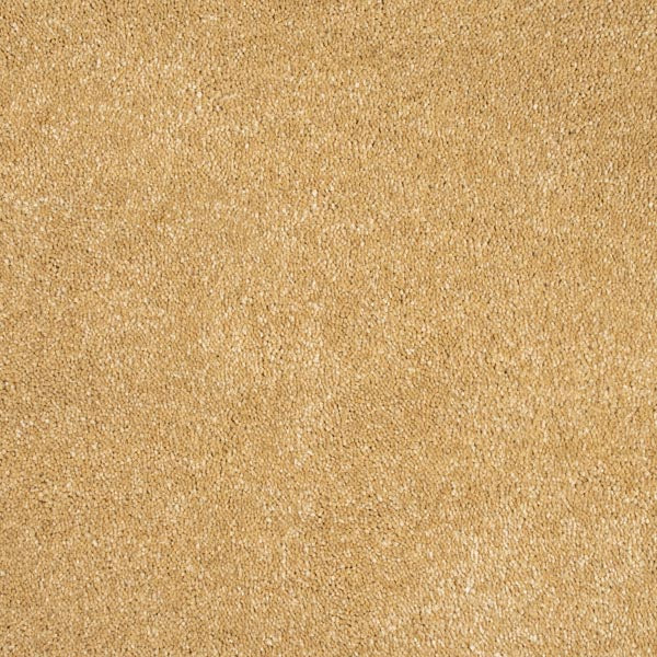 Golden Honey 54 Orion 50oz Invictus Carpet 4.1m x 5m Remnant