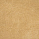 Orion 50oz Invictus Carpet