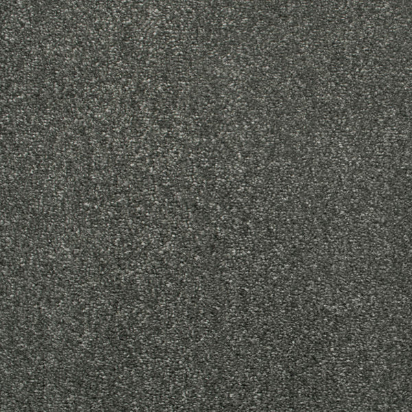 Graphite 274 Revolution Soft Heathers Intenza Carpet