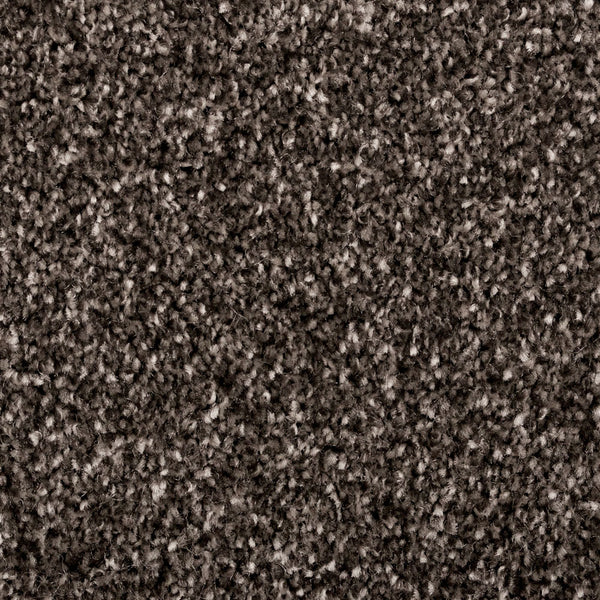 Graphite 98 Distinction Supreme Carpet