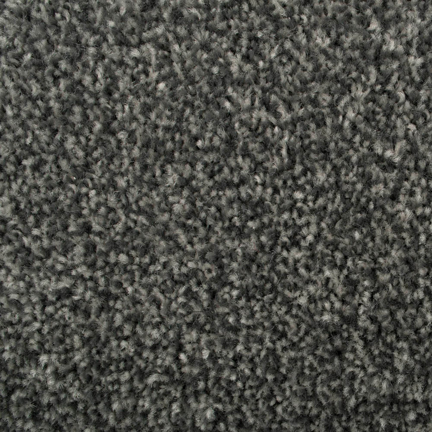 Graphite Oregon Saxony Carpet Buy Oregon Saxony Carpet Online