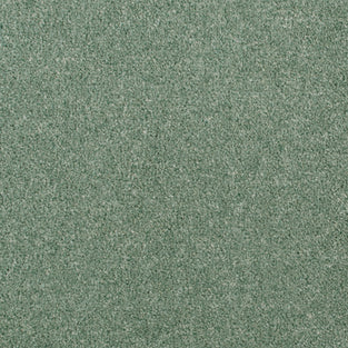 Green 140 Revolution Carpet