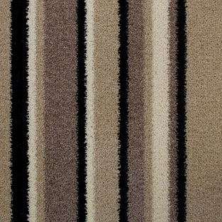 Greige 910 Pop Art Striped Carpet