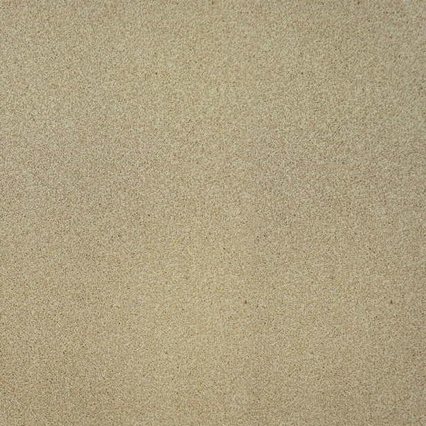 Wild Rice 05 Hercules Twist Invictus Carpet