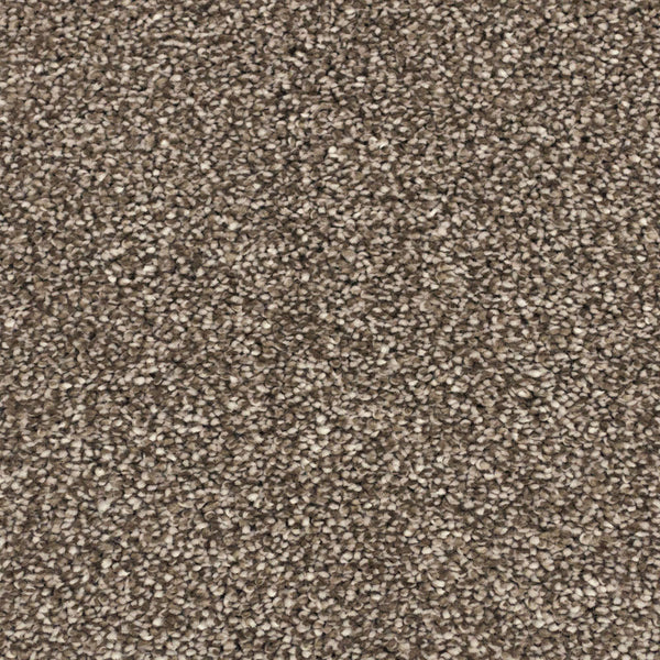 Cocoon Beige 40 Hercules Twist Invictus Carpet