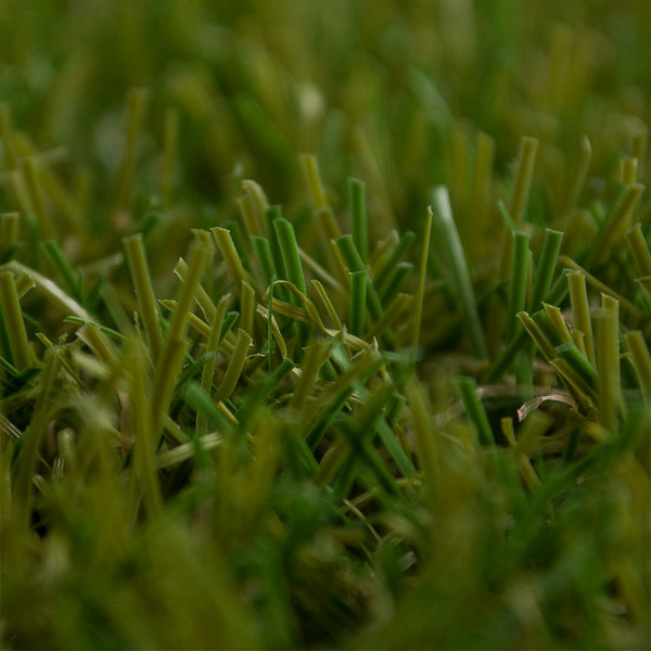 Highland 40mm Artificial Grass