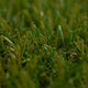 Highland 40mm Artificial Grass