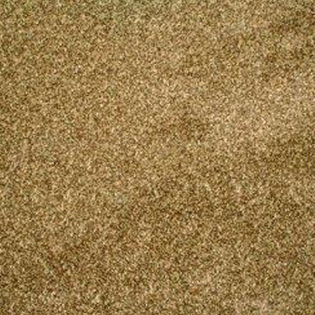 Antique Gold StainFree Images Twist Carpet