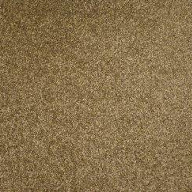 Chantilly StainFree Images Twist Carpet