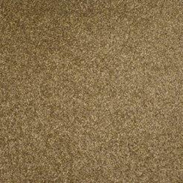 Chantilly StainFree Images Twist Carpet