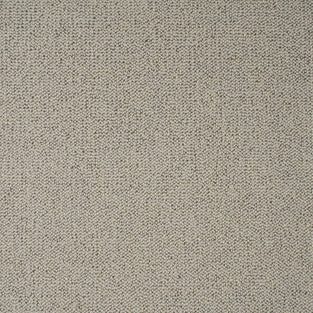 Ivory Cream Illinois Loop Carpet