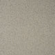 Ivory Cream Illinois Loop Carpet