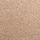 Ivory Sand 38 Distinction Supreme Carpet
