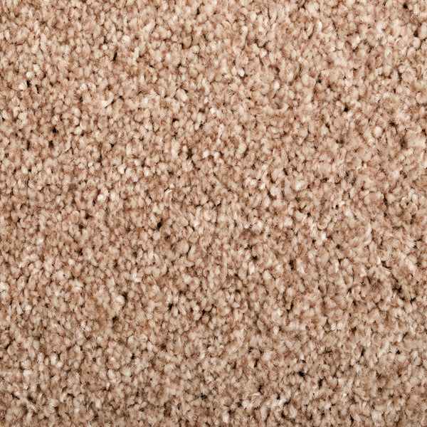 Ivory Sand 38 Distinction Supreme Carpet