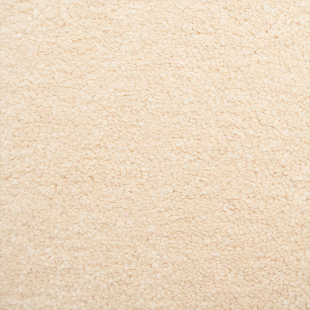 Lace Stainfree Emperor Carpet