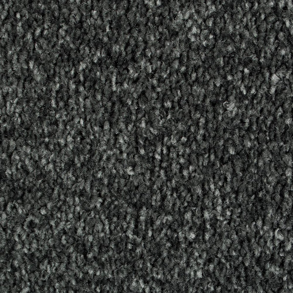 Lamp Black 99 Bellaire Carpet