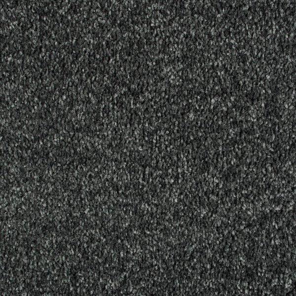 Lamp Black 99 Bellaire Carpet