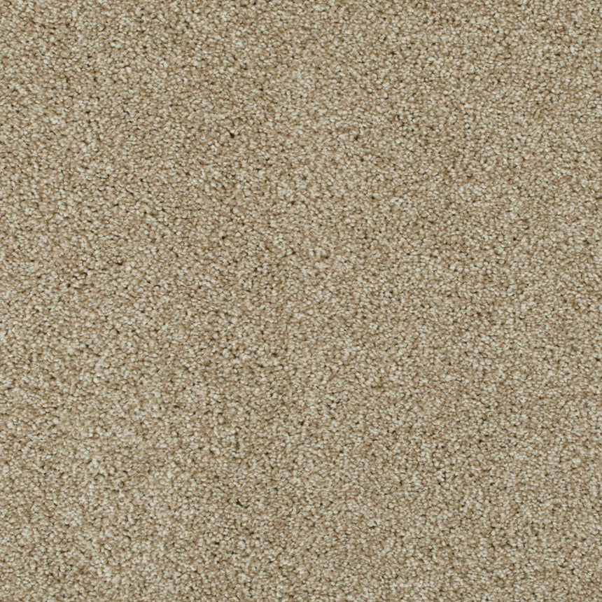 Cornsilk 12 Lasting Romance Love Story Carpet 4.5m x 5m Remnant