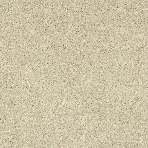 Soft Lace 13 Lasting Romance Love Story Carpet Buy Love Story