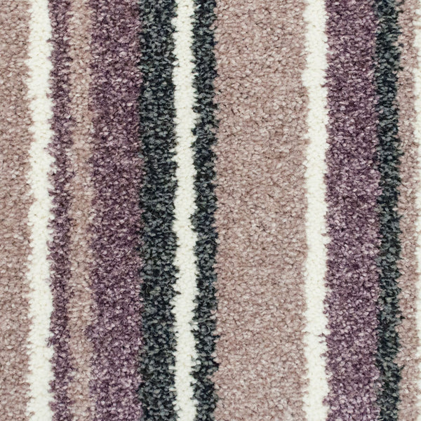 Lavender Noble Saxony Collection Carpet