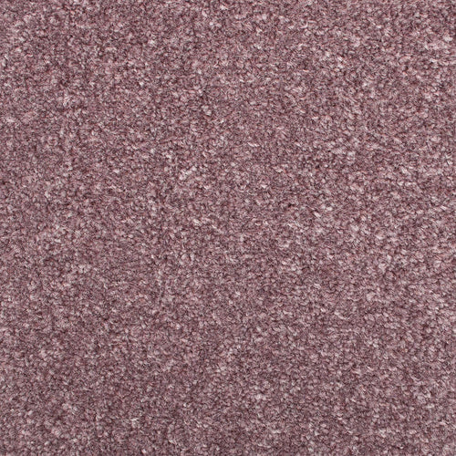 Lavender Field 510 Salisbury Twist Carpet