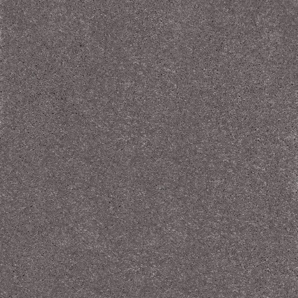 Lavender Grey 49 Sirius 70oz Invictus Carpet Buy Invictus Carpets