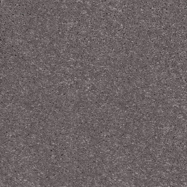 Lavender Grey 49 Sirius 70oz Invictus Carpet Buy Invictus Carpets