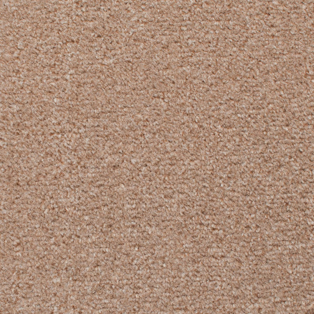 Madison Carpet