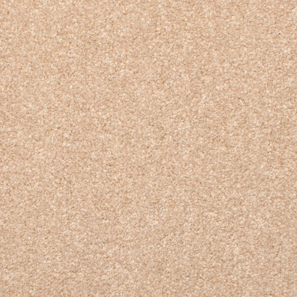https://www.onlinecarpets.co.uk/cdn/shop/products/light-beige-70-revolution-carpet-far_grande.jpg?v=1617899132