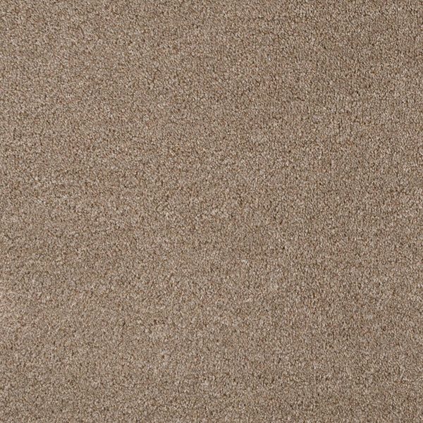 Light Brown 194 Revolution Carpet