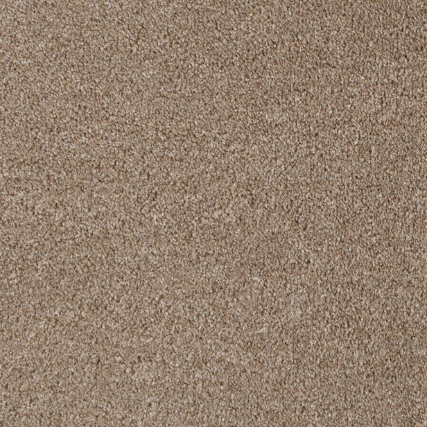 Light Brown 194 Revolution Carpet