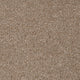 Light Brown 194 Revolution Carpet