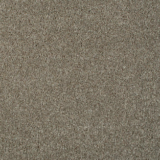 Light Brown Aspire Twist Carpet
